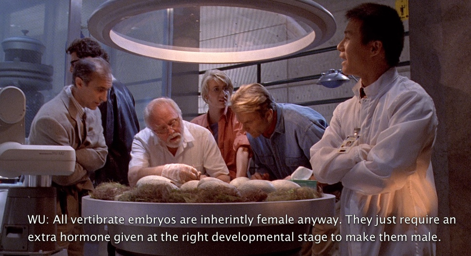 All vertebrate embryos are inherently female anyway. They just require an extra hormone given at the right developmental stage to make them male.